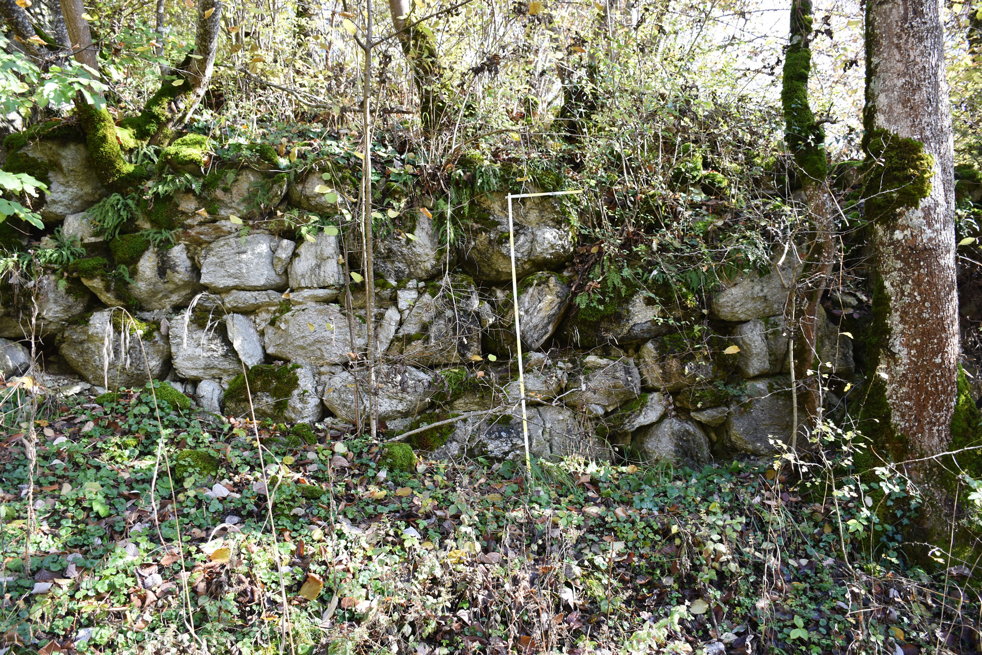 Abb. 3: Ruine Löwenstein, Reste der Ringmauer, nach Osten (Rhomberg 2019/ADG).