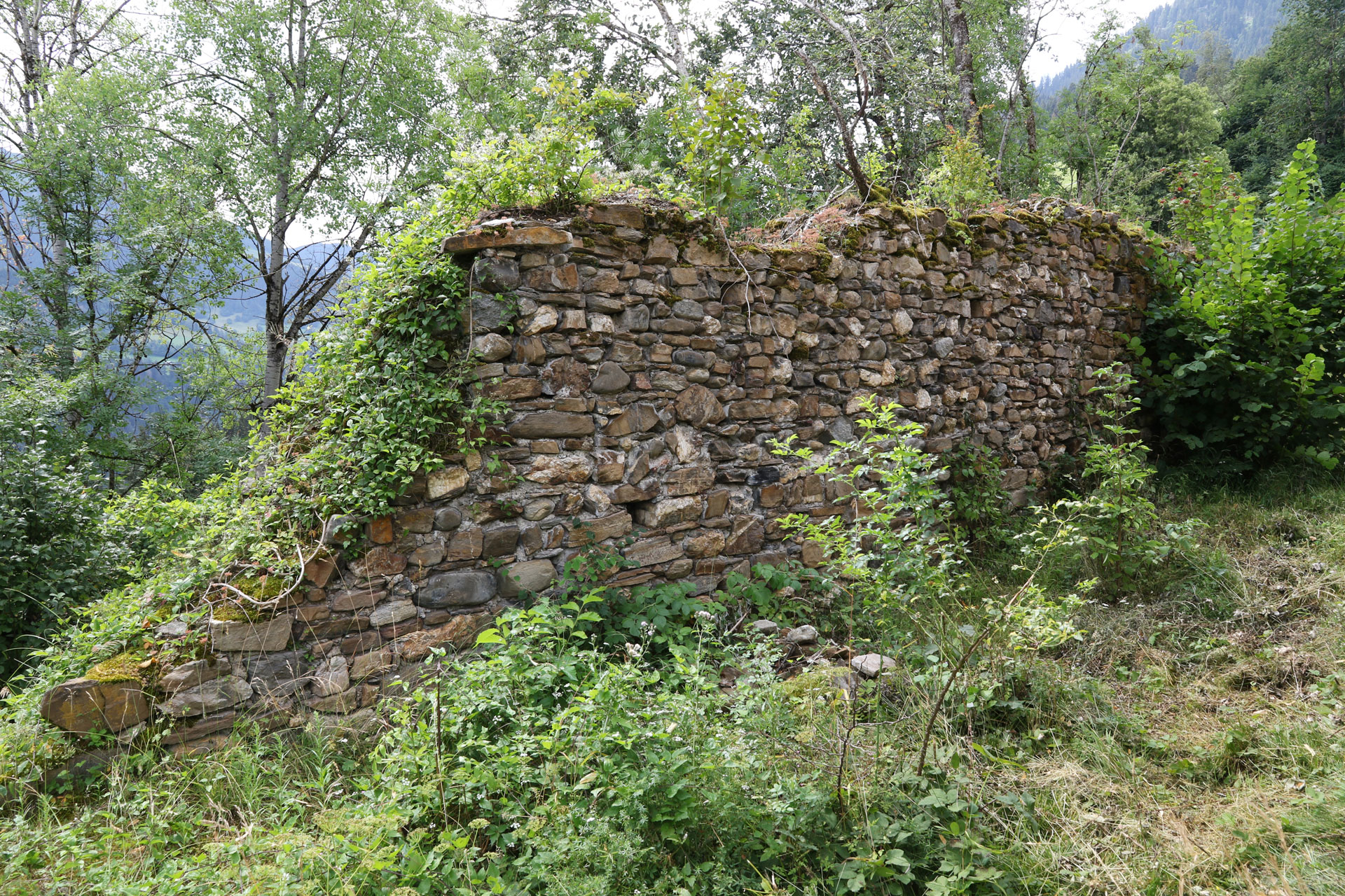 Abb. 9: Burg Castelberg, Innenansicht der westlichen Umfassungsmauer, nach Süden (Y. Alther).